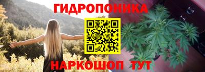 ПСИЛОЦИБИНОВЫЕ ГРИБЫ Волжск