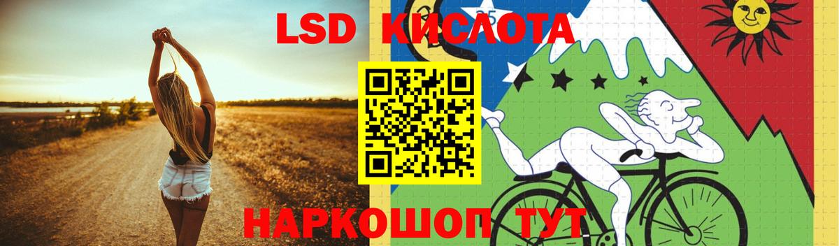 Галлюциногенные грибы Железногорск