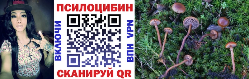 сколько стоит  мега ТОР  Галлюциногенные грибы MAGIC MUSHROOMS  Железногорск 