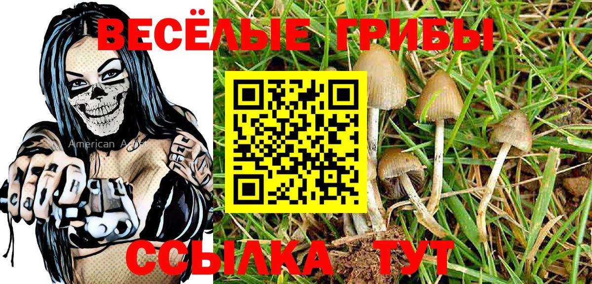 Псилоцибиновые грибы GOLDEN TEACHER  Вход с VPN  Железногорск 